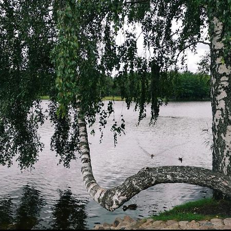 Appartamento Aguona Apartament Druskininkai Esterno foto