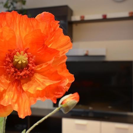 Appartamento Aguona Apartament Druskininkai Esterno foto