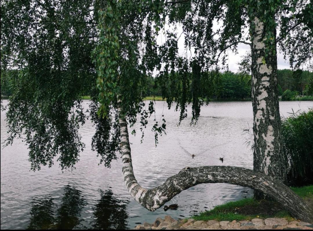 Appartamento Aguona Apartament Druskininkai Esterno foto